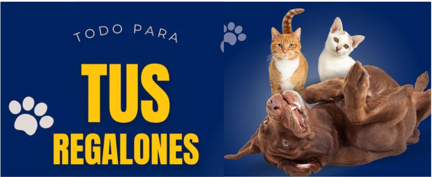 Tus Regalones